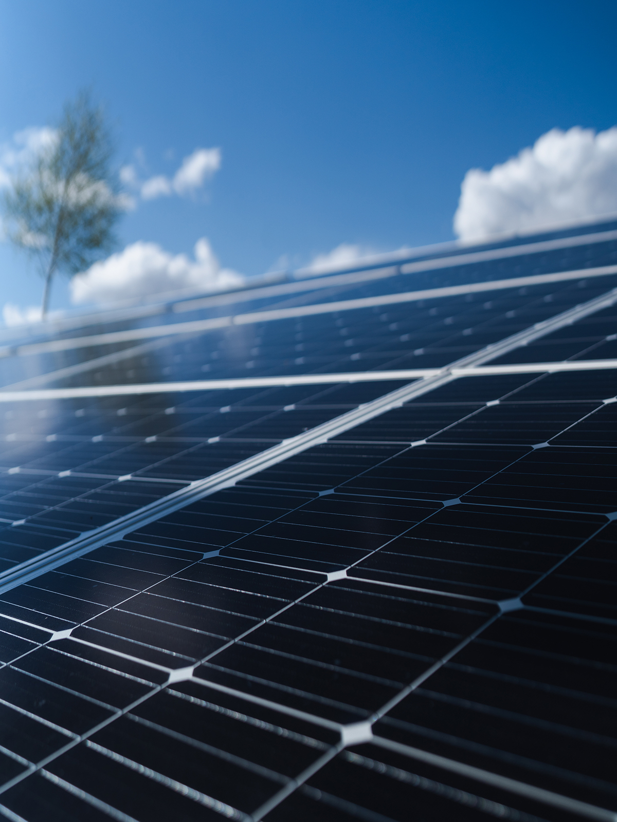 Solar panels on a farm